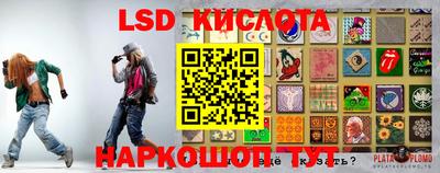 дживик Моздок