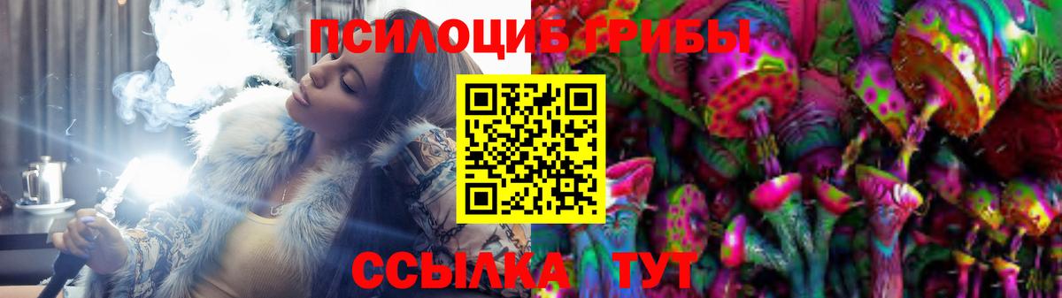 Хасавюрт  наркотики  Вход с VPN  Галлюциногенные грибы Cubensis 